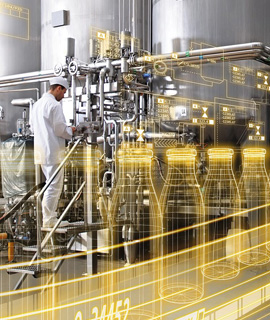 Food & Beverages Processing