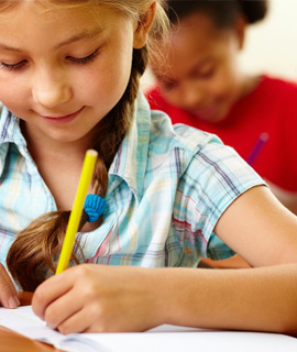 School Educational Institutes